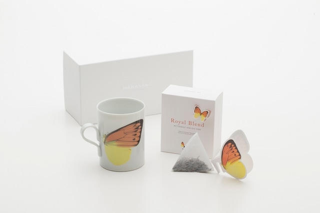 BUTTERFLY  gift set / orange&royalblend