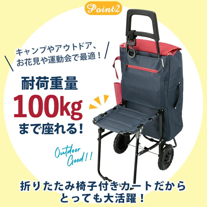 ショッピングカート おしゃれ 通販 保冷 保温 cocoro ココロ キャリー