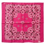 【 Deadstock】RN15187 PAISLEY ヴィンテージバンダナ ①