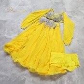 ベリーダンス オリエンタル 衣装 上下セット イエロー系 トップス スカート インナーパンツ 黄 ラインストーン 花 キラキラ 豪華 装飾 鮮やか 明るい ダンス衣装 イベント ステージ 華やか シルバー系