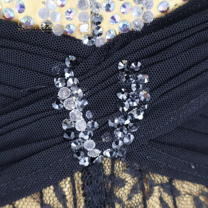社交ダンス 衣装 サピエル Sapiel スタンダード ドレス スタンダード