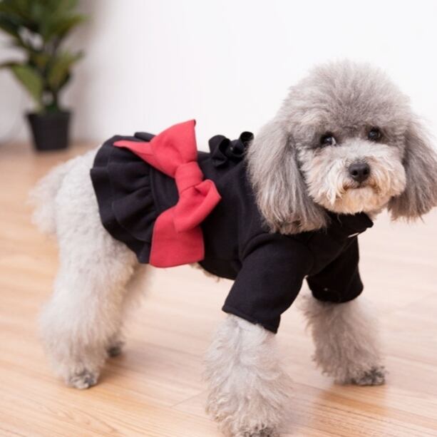 XS〜M】即納あり☆オシャレなリボンドレスワンピース♡ 犬用 春服夏服