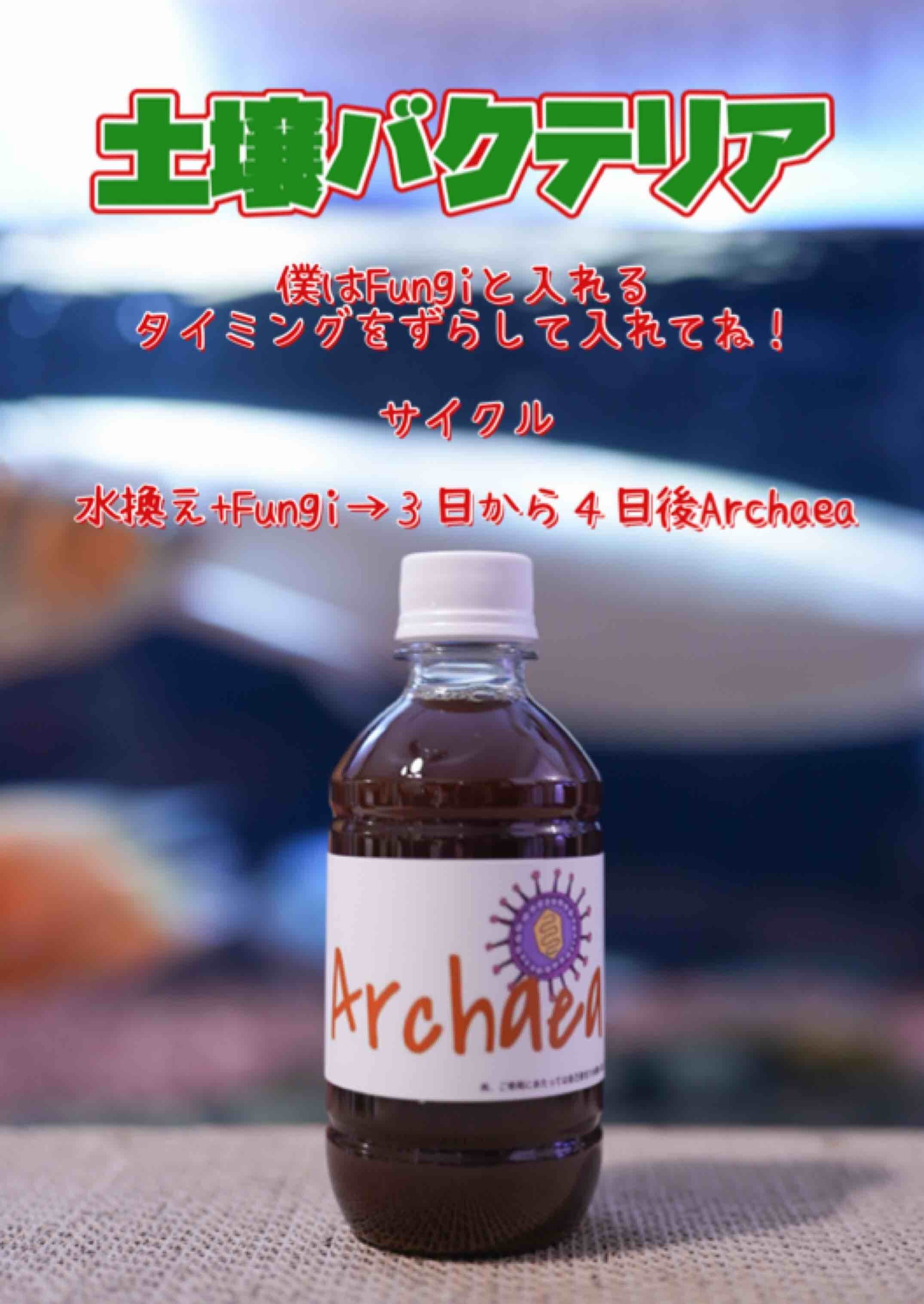 最強バクテリア工房 限定フルセット | 最強のバクテリアを喰らえ