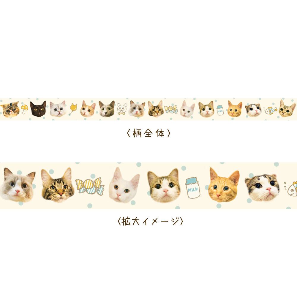 ☆ねこマステ｜マスキングテープ てんてん 猫 ねこ柄 猫雑貨 ねこモチーフ かわいい 文具 手帳デコ