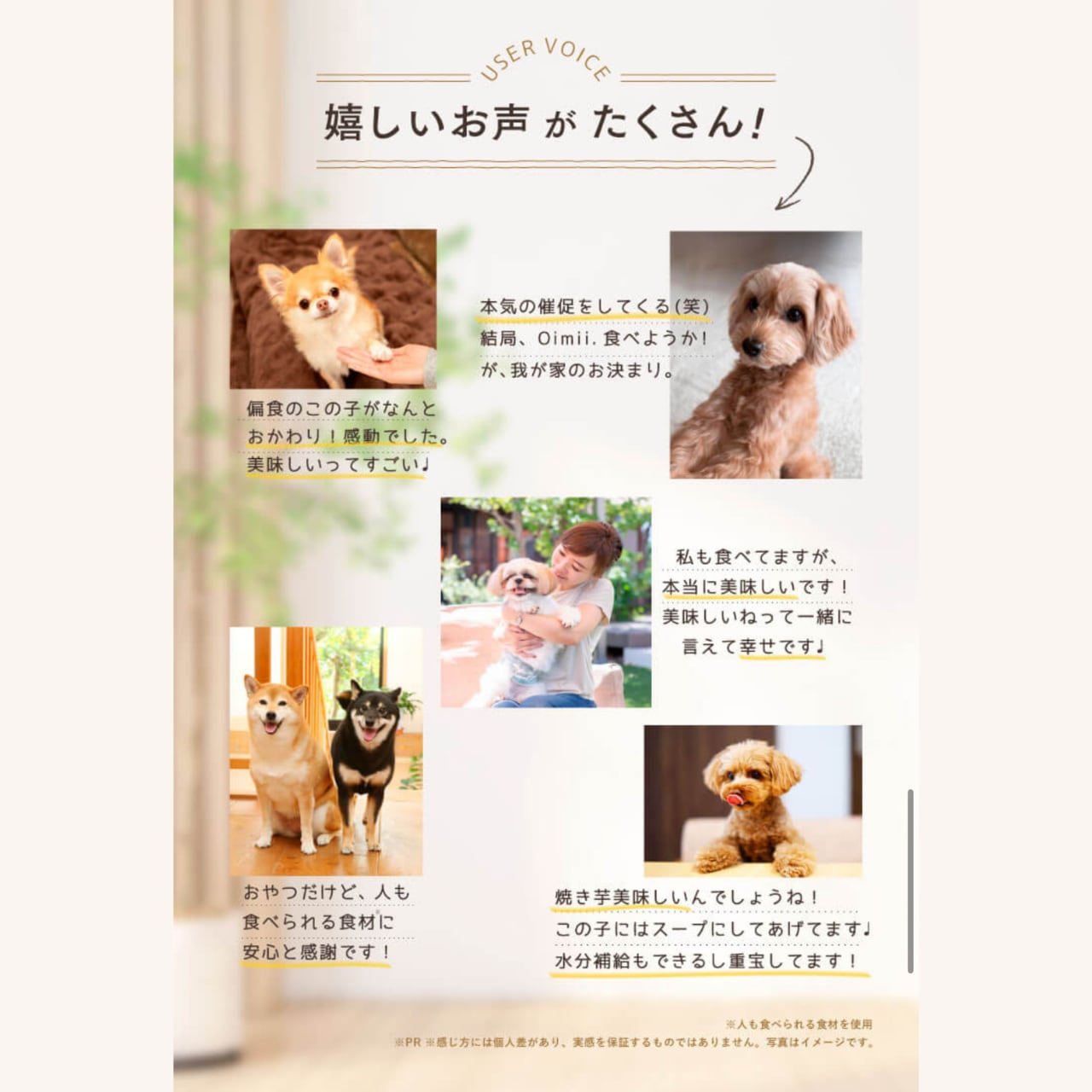 oimii. オイミー 焼き芋のごちそう