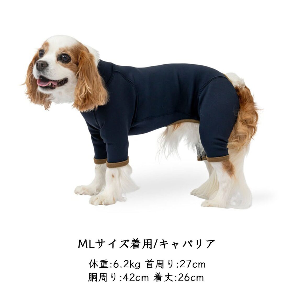 ALPHAICON [アルファアイコン] HOT DOG GUARD [25HDG] ホットドッグ 