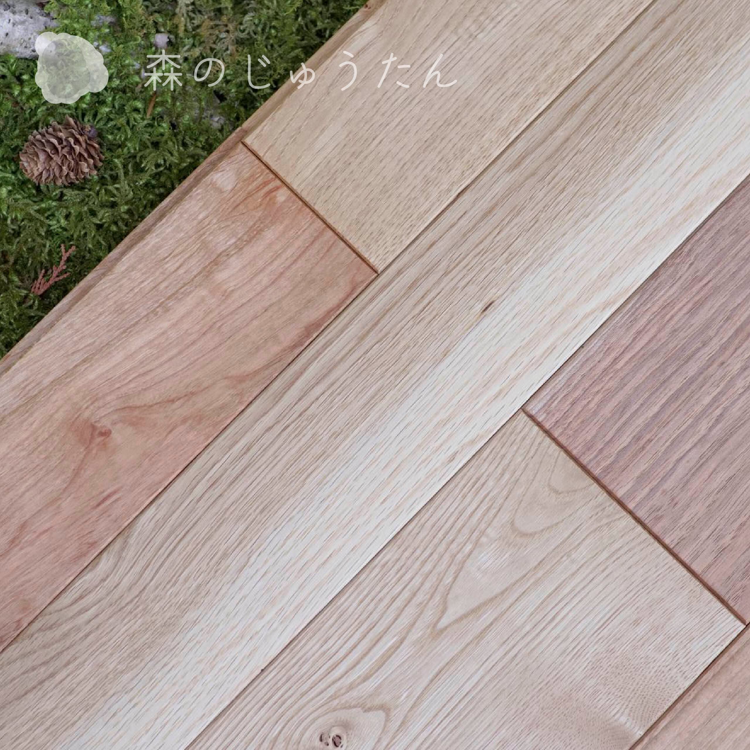 森のじゅうたん「山桜（YAMAZAKURA）ヤマザクラ」1㎡ | 飛騨高山ハード