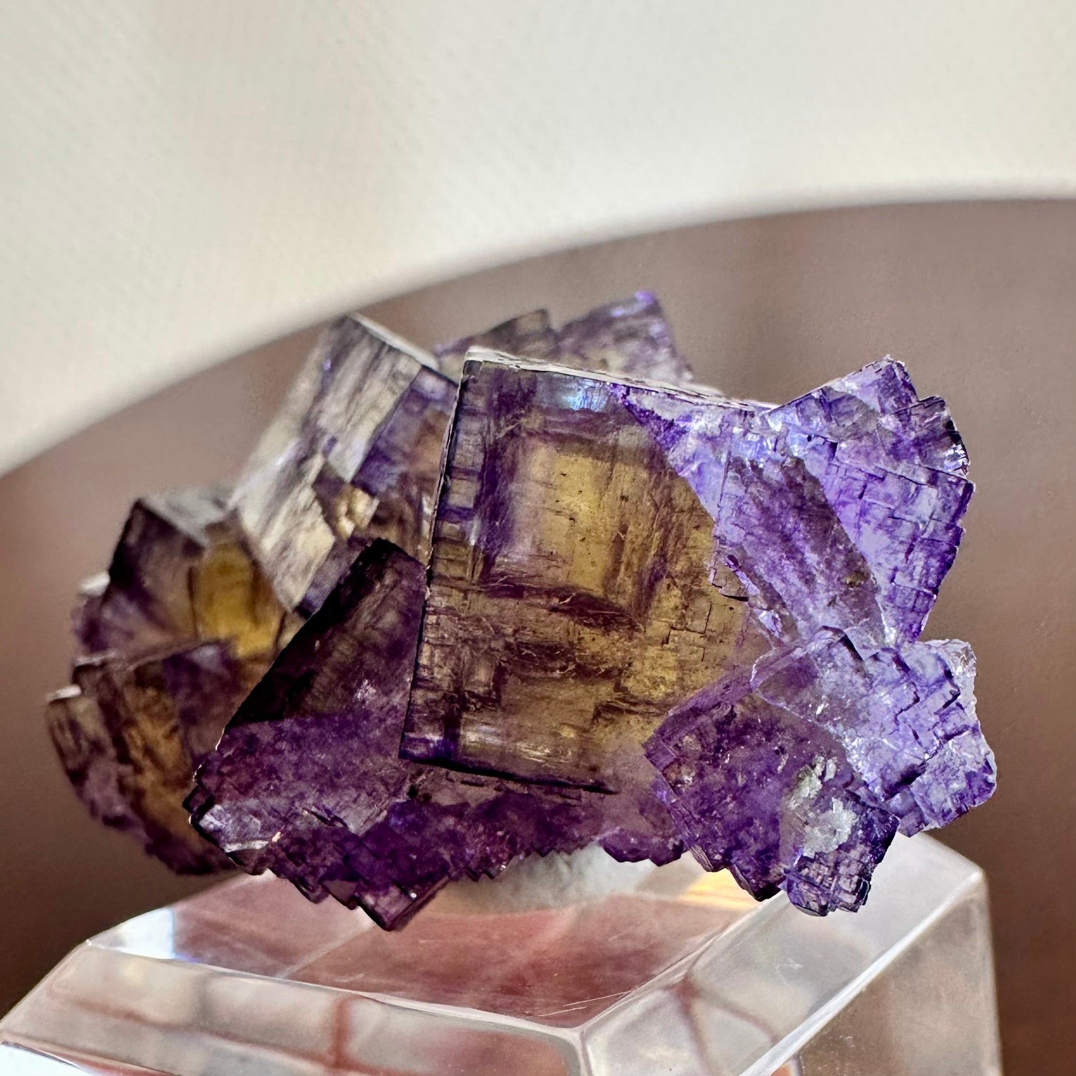 フローライト【Fluorite】アメリカ産 | PEANUTS MINERALS