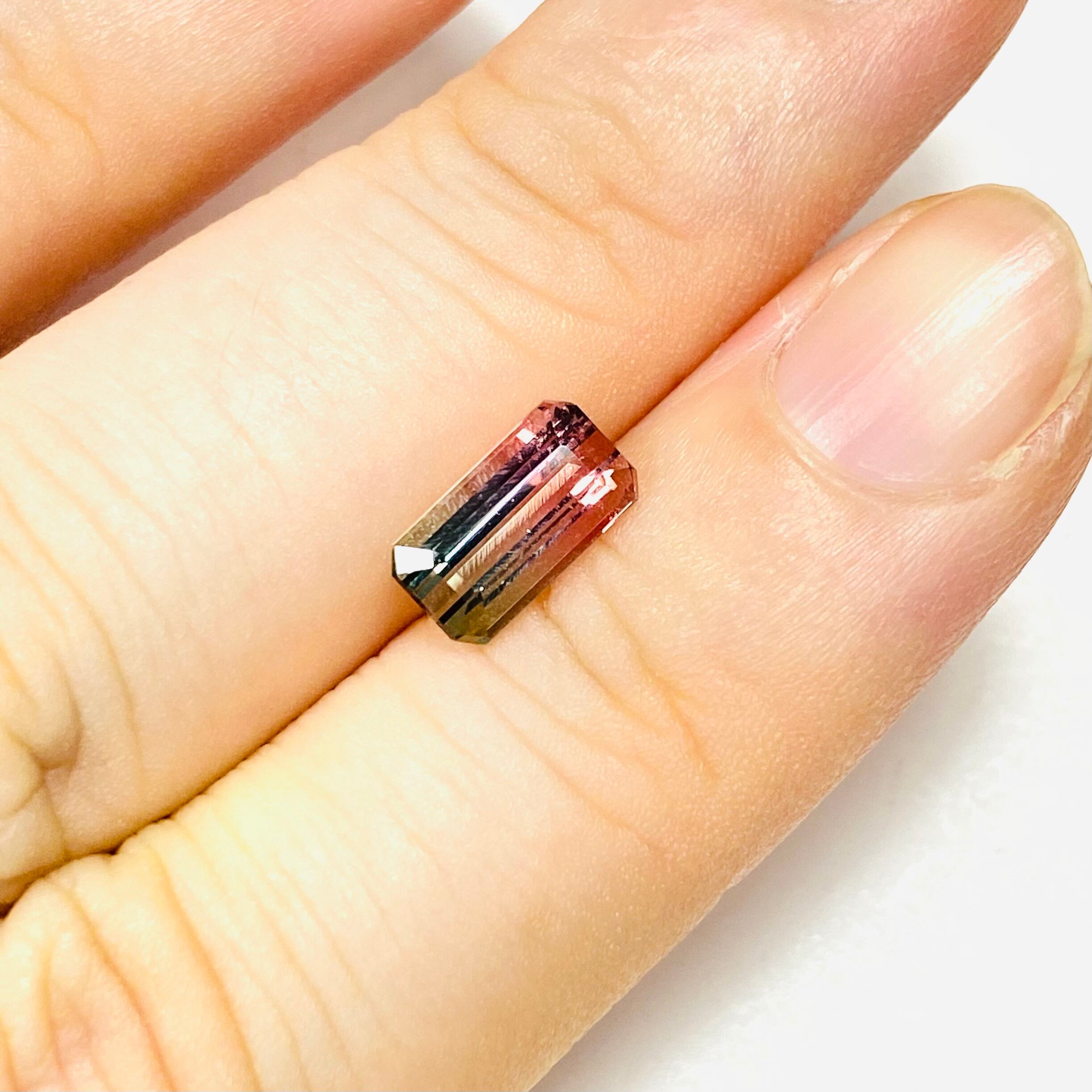 美バイカラートルマリン