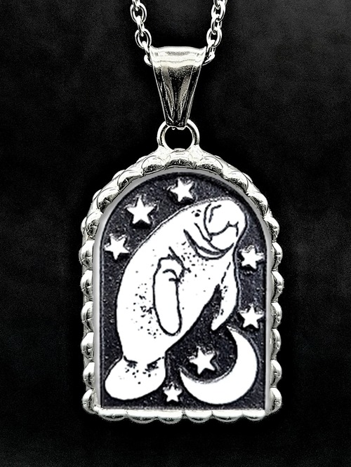 月窓 - マナティ