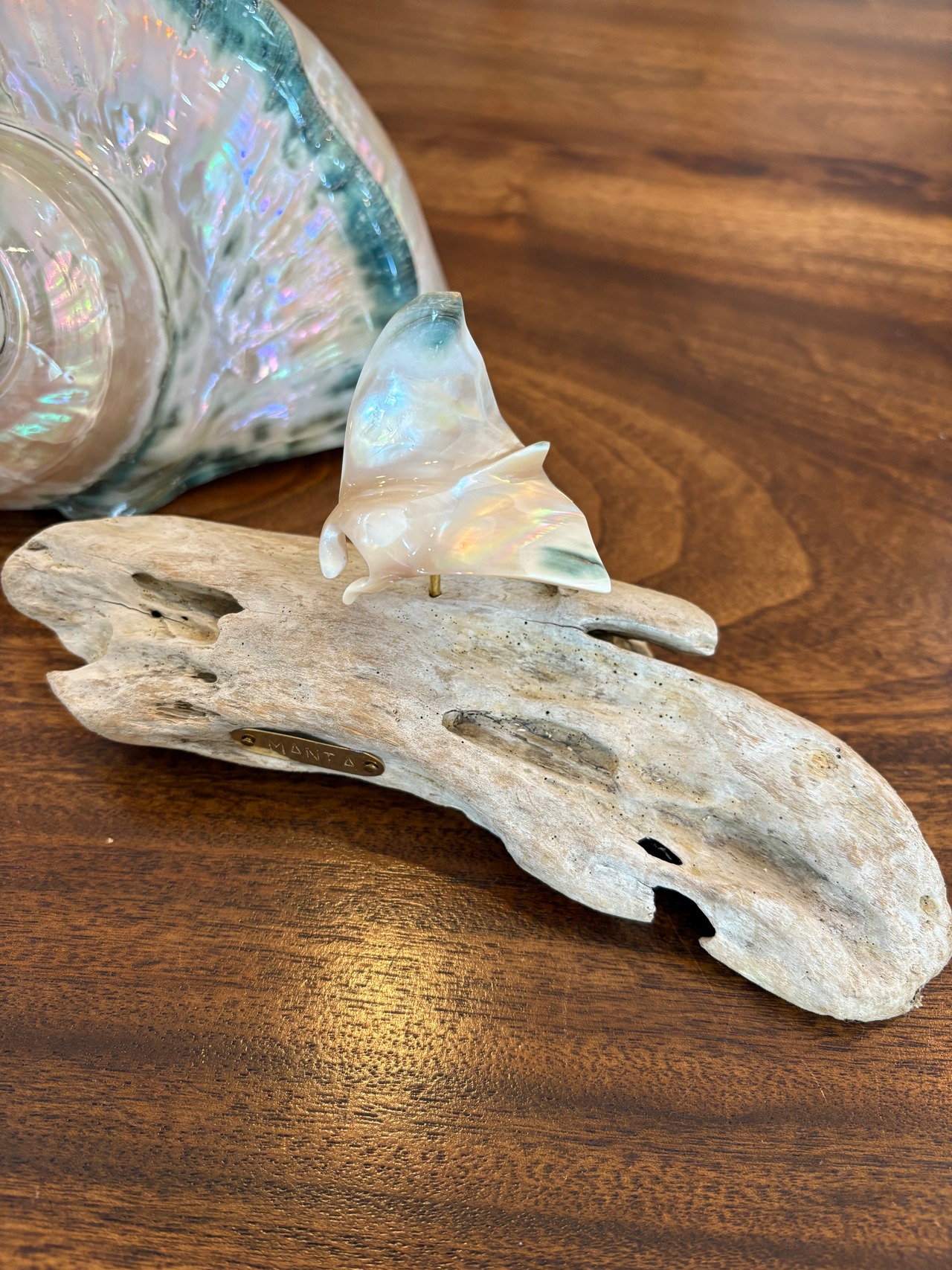 夜光貝マンタのオブジェ　沖縄の思い出に