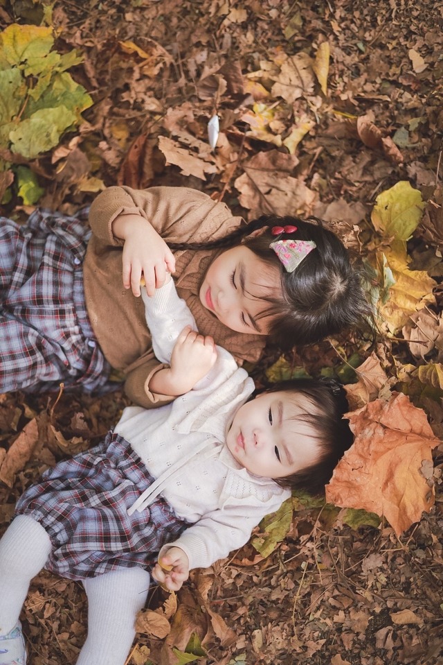 【取寄】クラシカルなタータンチェックブルマ