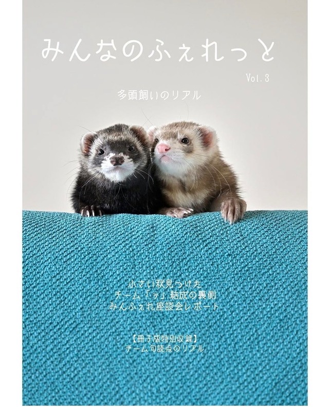 雑誌　みんなのふぇれっと　Vol.3