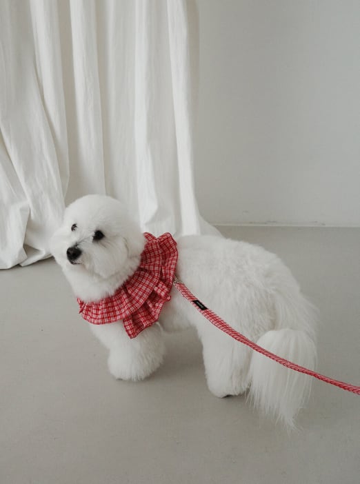 予約【OHDIBS】capeness no.15 _ Red check