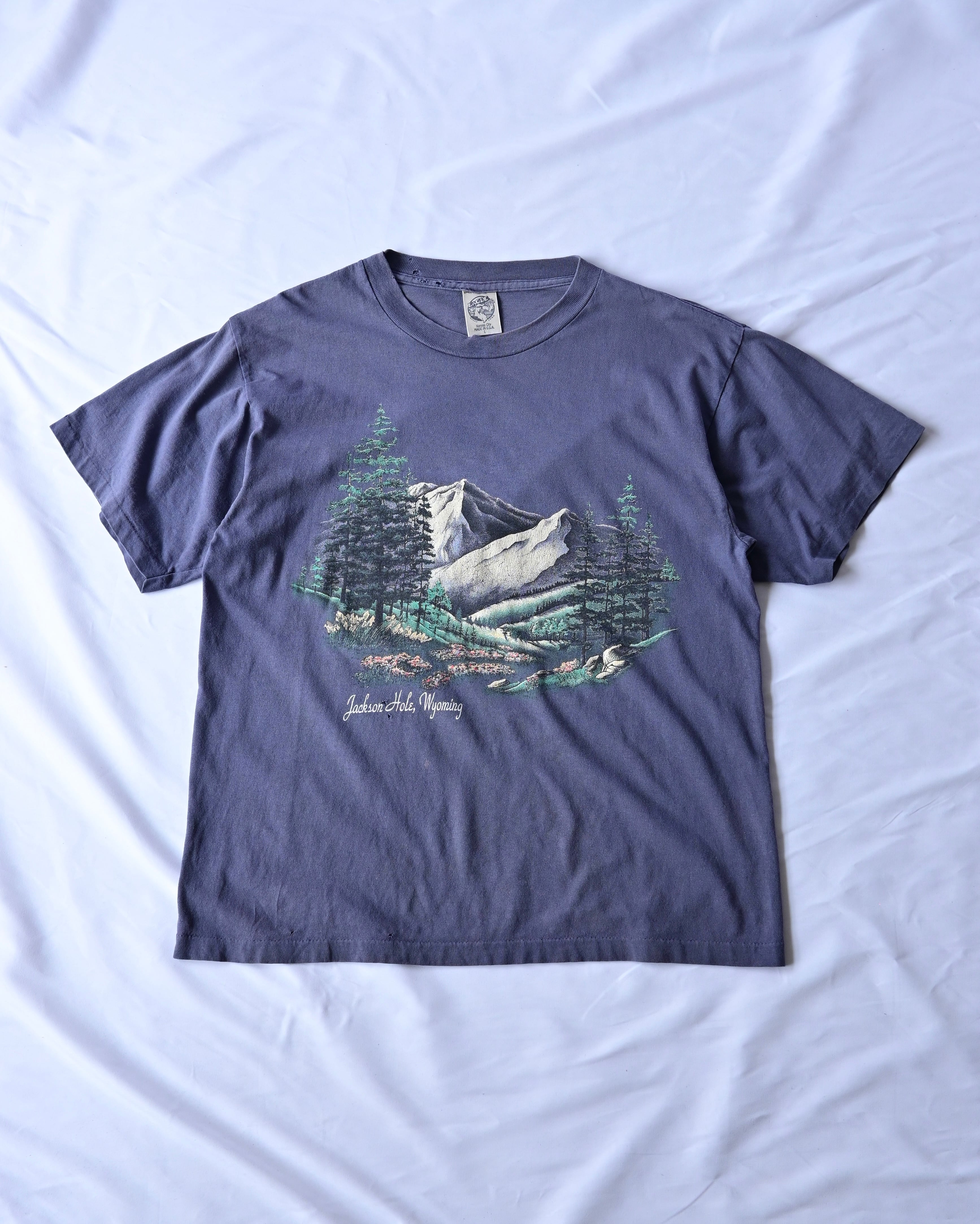 Patagonia】【ハワイ限定 】希少 Pataloha Honolulu パタゴニア