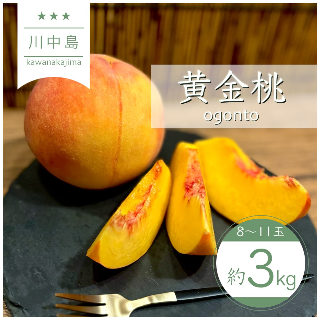 8月下旬ごろ発送】黄金桃 - 約3kg（8〜11玉） - | すーさんの果樹屋