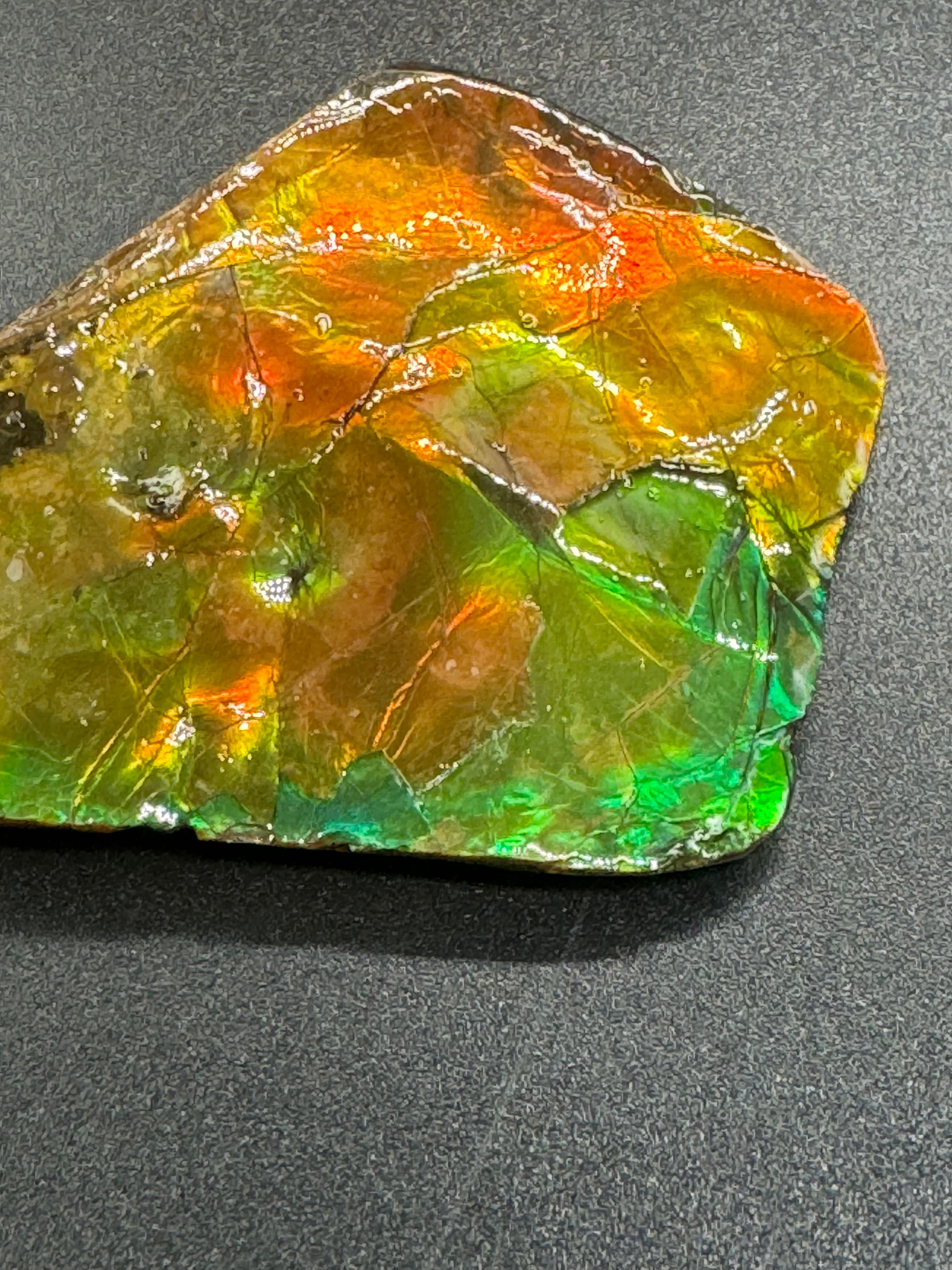 大変レアなアンモライト⭐️幸運エネルギーは最強✨最高級グレードNO.6