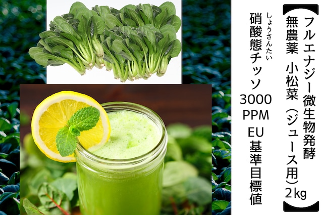 フルエナジー微生物発酵 無農薬 小松菜（ジュース用 2kg）（月1発送、定期便）