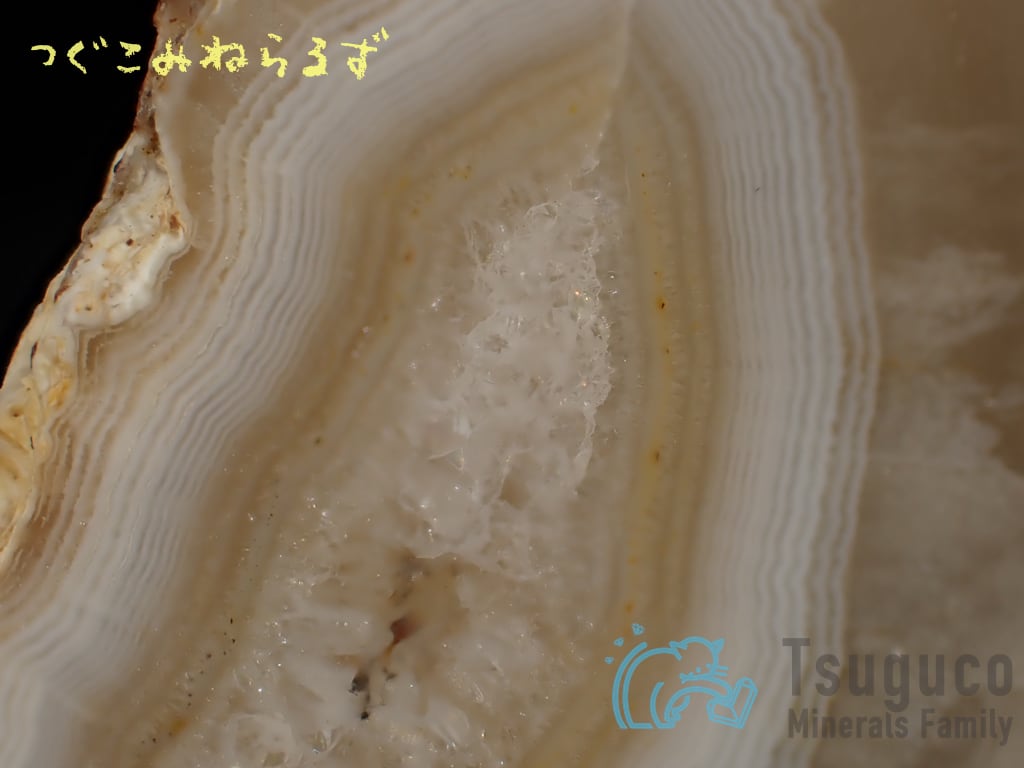 アゲート 瑪瑙 Agate ドイツ TM-0020