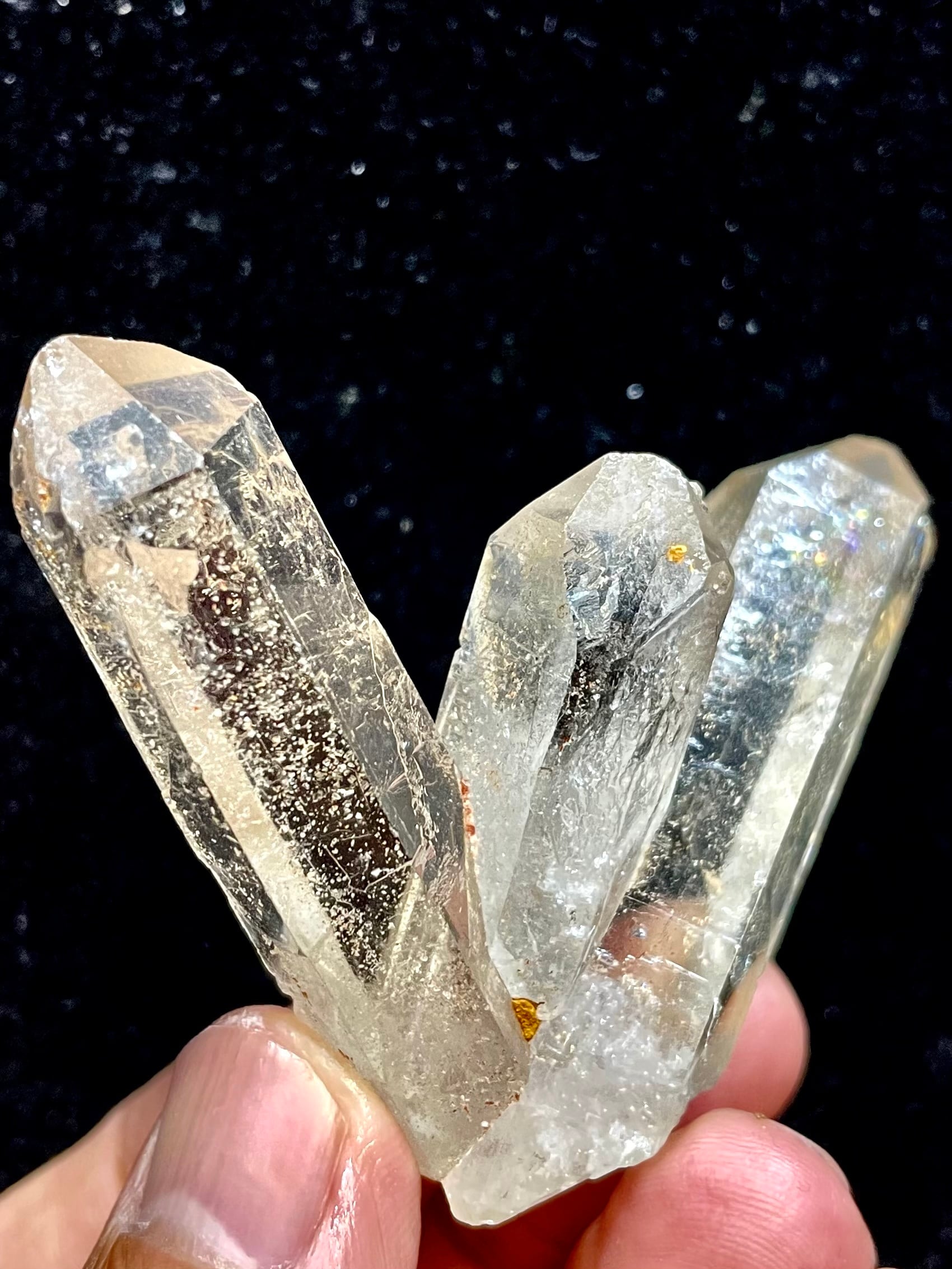 4) 珍品!三首龍「キングギドラ」(変わり種F)