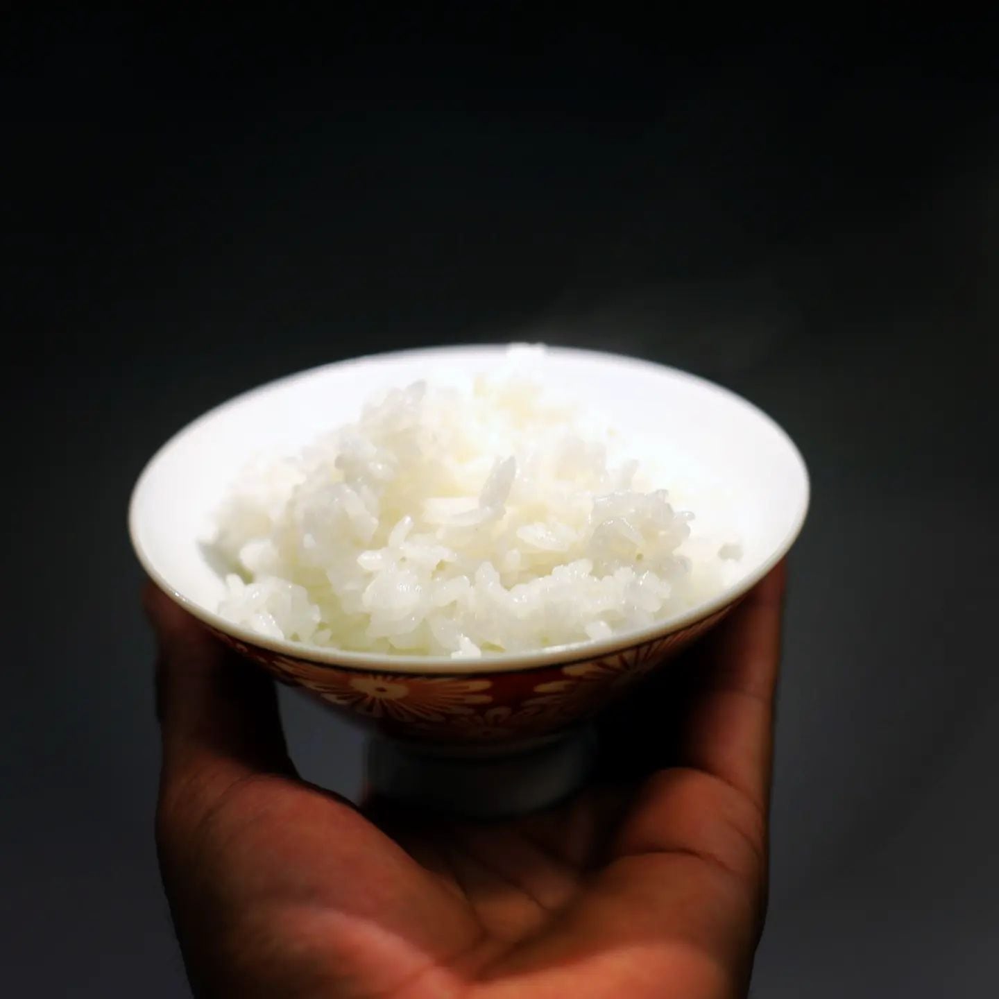 お米とごはんまわりの品々　2023年　5kg　農薬化学肥料不使用の石川県産巾着　能登ごはん農場