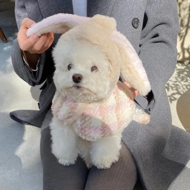 【予約】[Hi yeboo] Tweed bunny cape (pink)