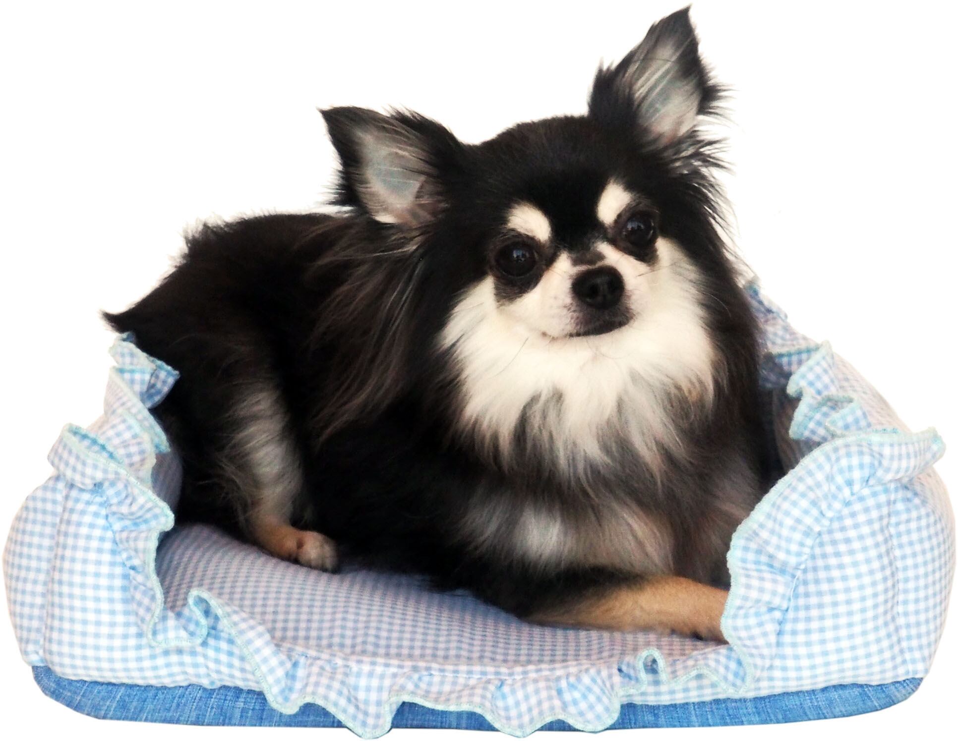 【ドッグベッド】ミニスクエアベッドフリル ピンク/ブルー/ブラック