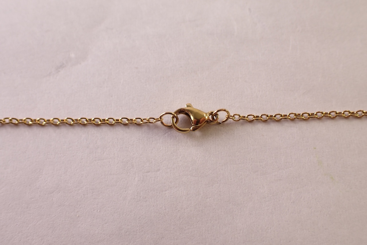 フローライトネックレス　2.68ct [D12‐203]