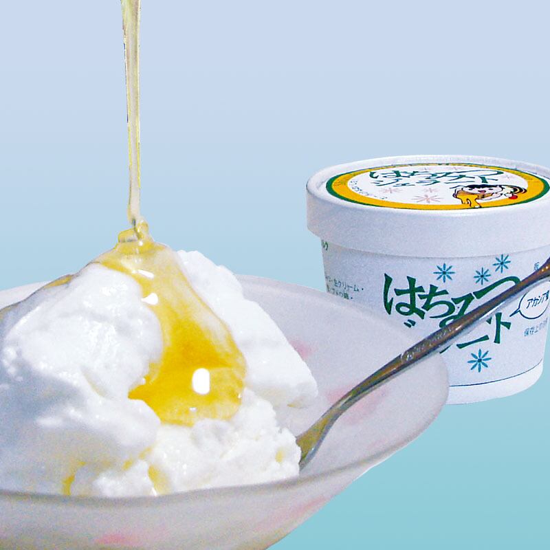 はちみつジェラート【10個入】 | 鈴木養蜂場 はちみつ家