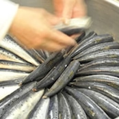 ふじたのぬかみそだき〈さば〉- 冷凍品 - 2切