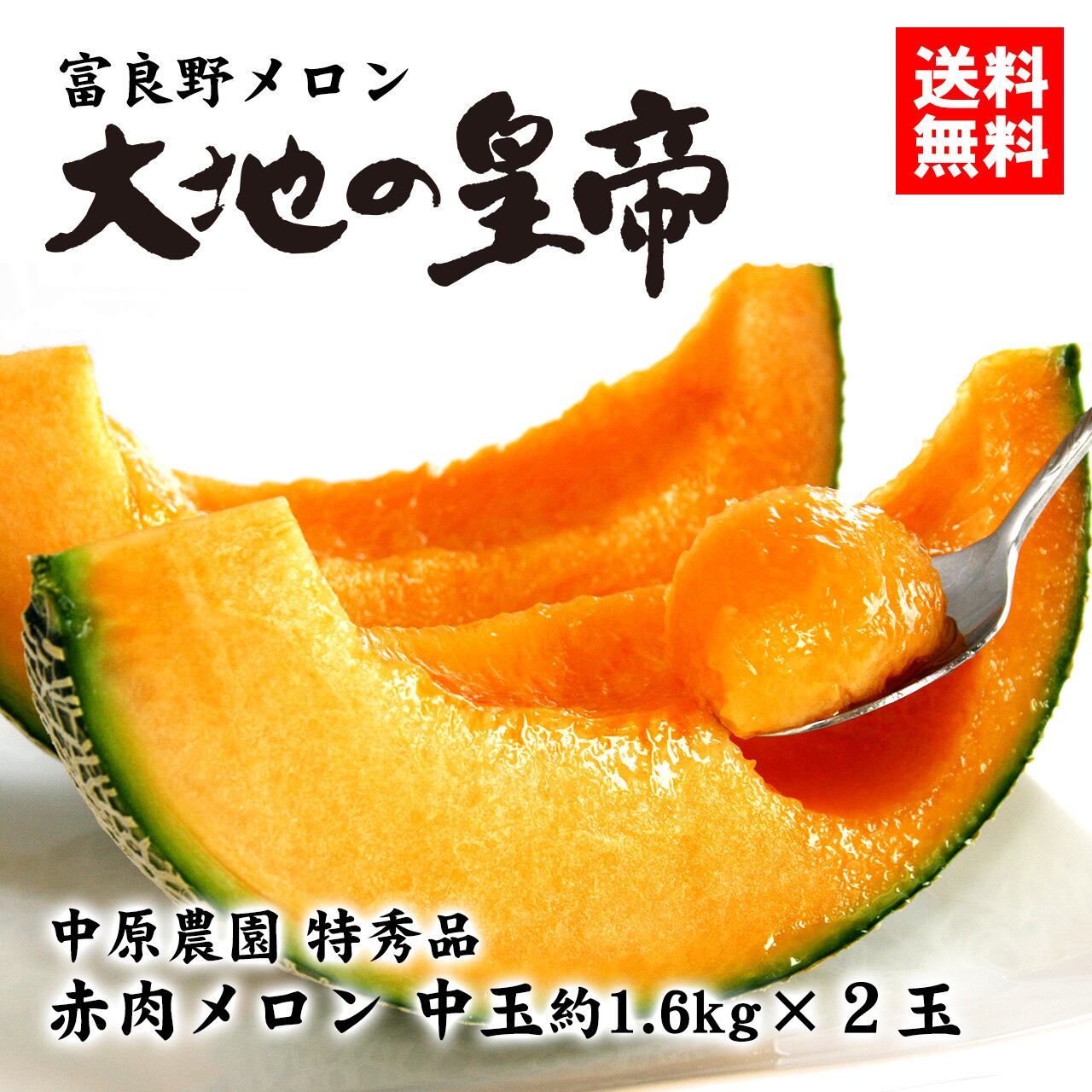 夕張市農協直送 夕張メロン 共選品 特秀中玉(約1.3kg) 木箱詰 1玉(着日