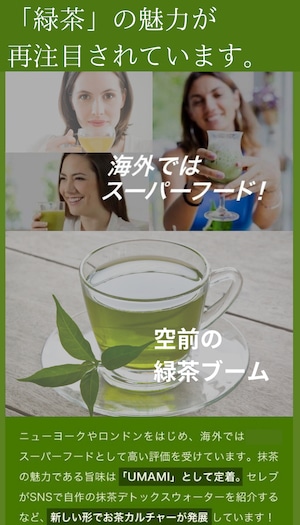 オーガニック緑茶 煎茶 ティーバッグ 30袋セット 農薬不使用 化学肥料不使用