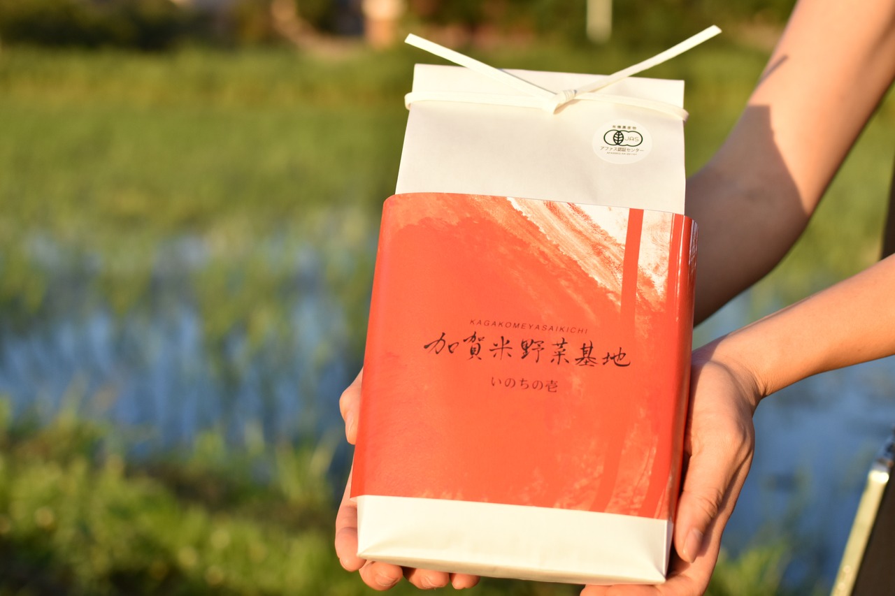 【有機栽培 転換期間】加賀米野菜基地 石川県産いのちの壱 5kg