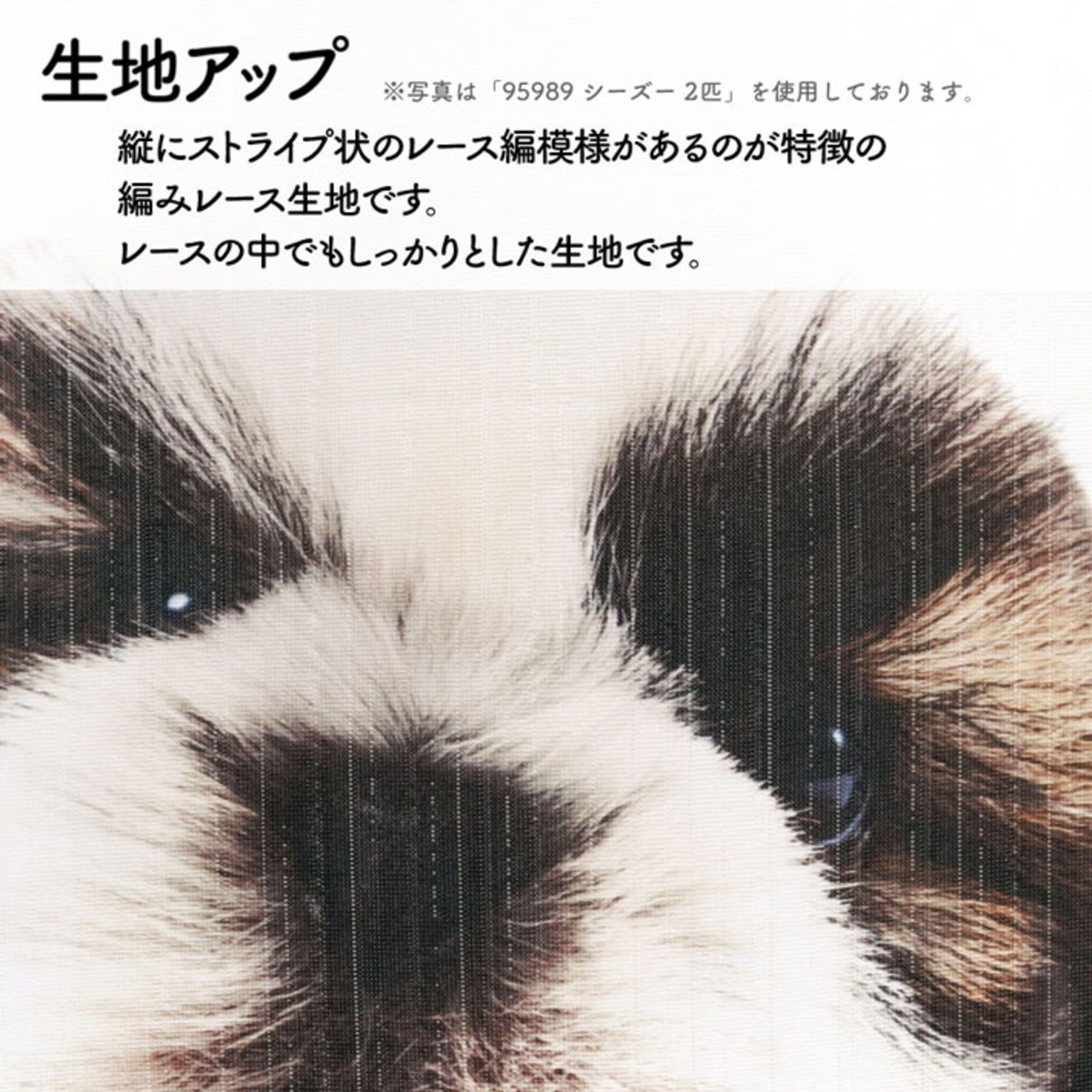 【受注生産】のれん THE DOG シベリアンハスキー 幅85×丈90cm　96040