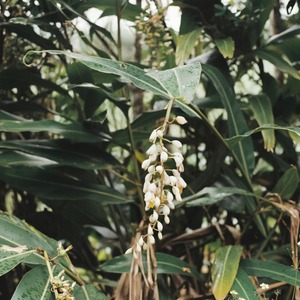 商品や配送について【必ずお読みください】