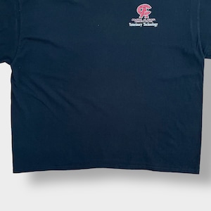 【GILDAN】3XL ビッグサイズ カレッジロゴ プリント Tシャツ COASTAL ALABAMA COMMUNITY COLLEGE ワンポイントロゴ バックプリント 半袖 黒 US古着