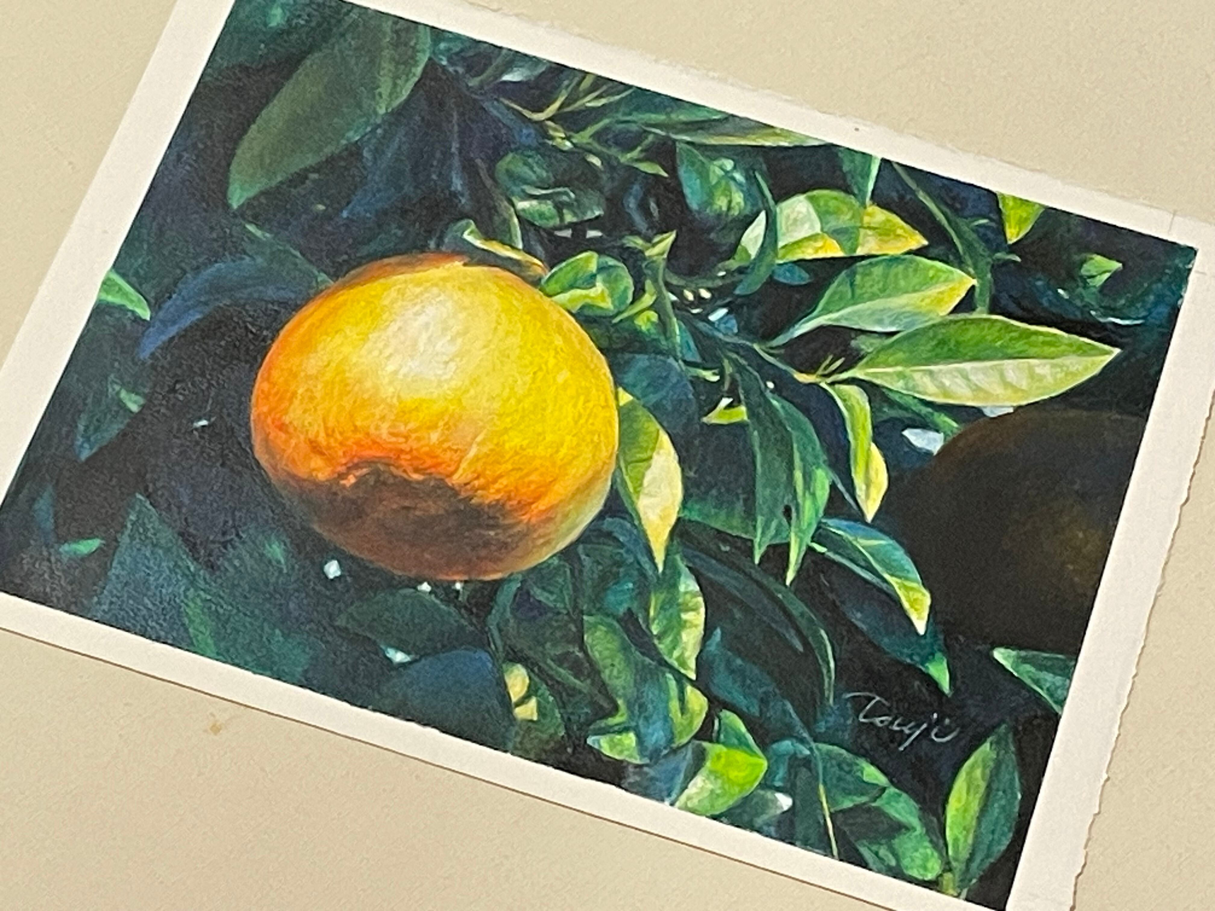 F4オイルパステル画「柑橘」 | 絵楽人(辻匠) F4オイルパステル画「柑橘」 | 絵楽人(辻匠)