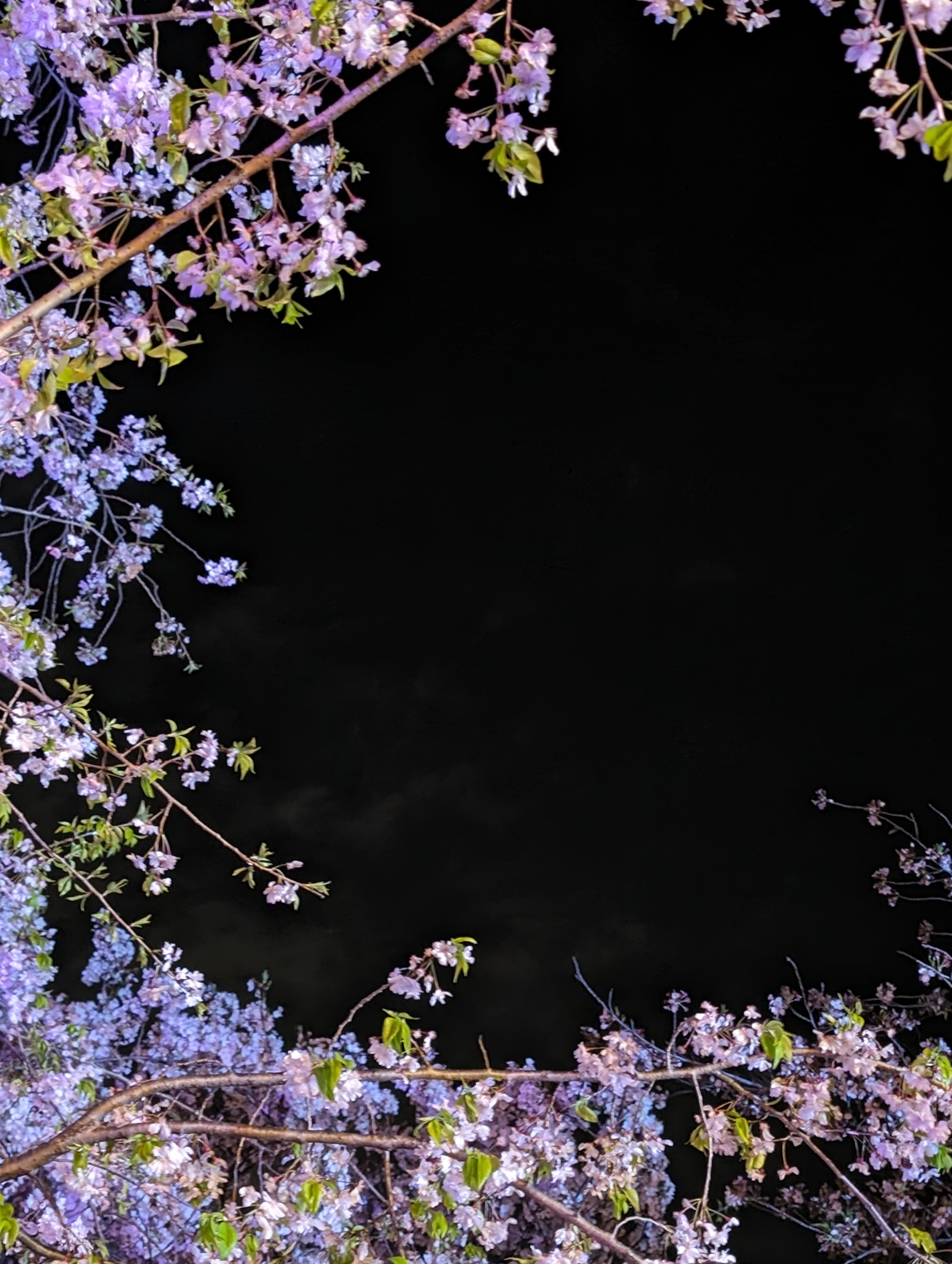 S様専用ページ】プリフォトフレームL版（プリザーブドフラワー 縦14.6cm×幅