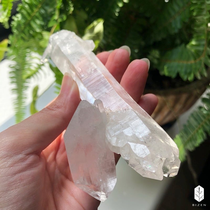 マニハール水晶 サボテンさん♪ | BIZEN Crystals