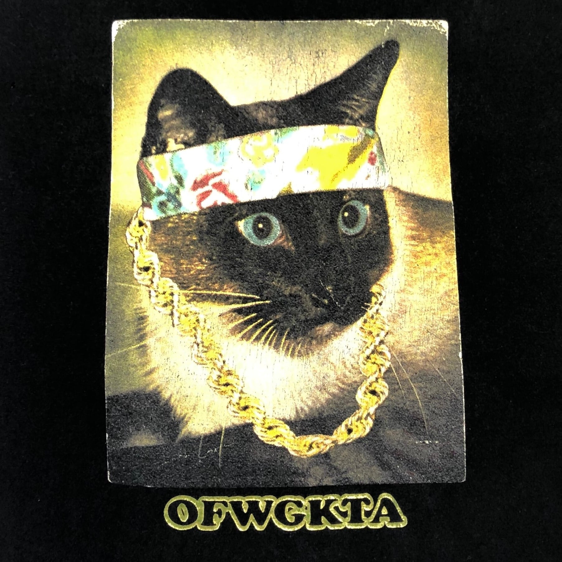 Odd Future(OFWGKTA) Rapper Cat T-Shirt / オッドフューチャー