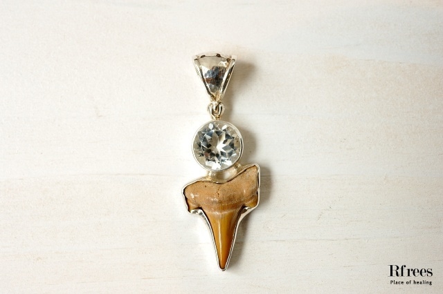 【STAR BORN】Fossile Shark Tooth × トパーズ ペンダントトップ