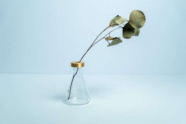 【廃盤予定】FLASK FLOWER VASE-BS-/真鍮/フラスコ/フラワーベース/一輪挿し/水根栽培