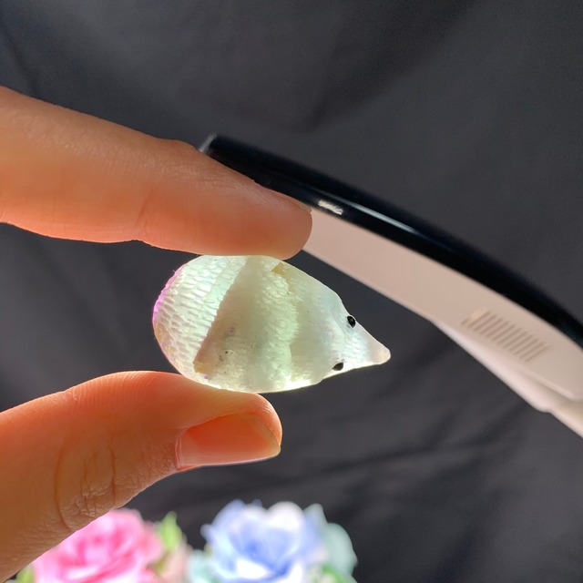 10ハリネズミフローライト