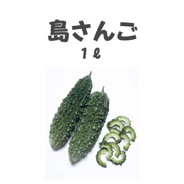 島さんご　ゴーヤ種子・1L