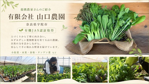 有限会社山口農園の紹介