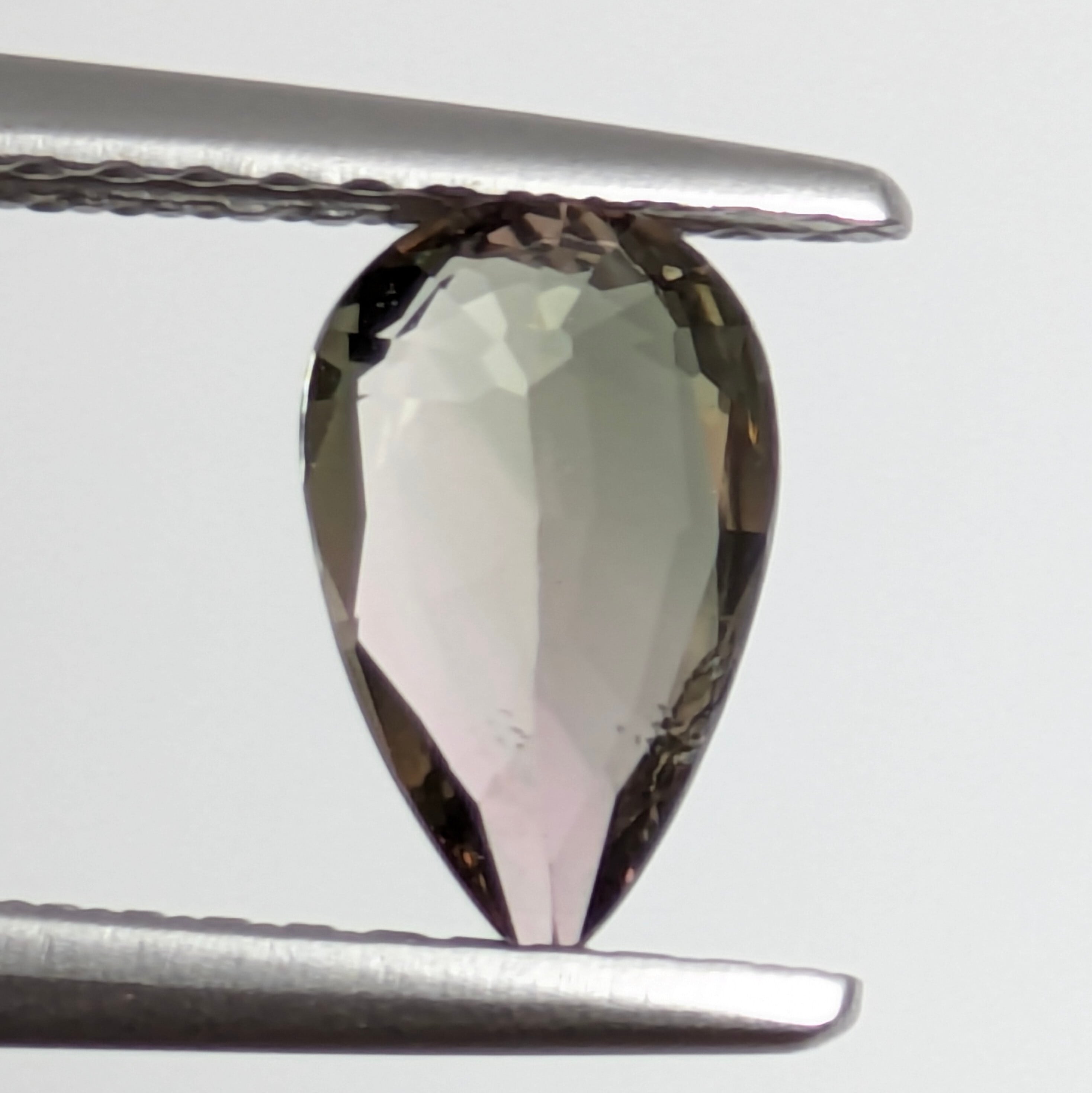 バイカラートルマリンルース【0.81ct】 PRO208674 | Gem's Subculture