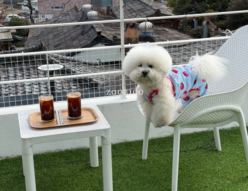 tomato all in one S ~ XL 2color / 犬服 新作 夏 袖なし 可愛い犬の服 ドッグウェア オールインワン  ペット ワンコ服 小型犬 中型犬 猫 ロンパース tsu45