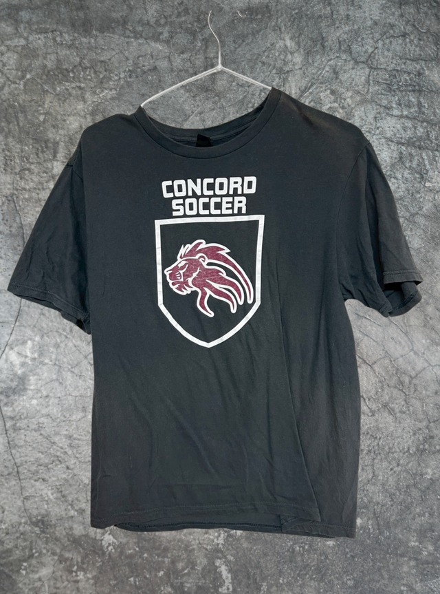 ビックプリント半袖Tシャツ size:s