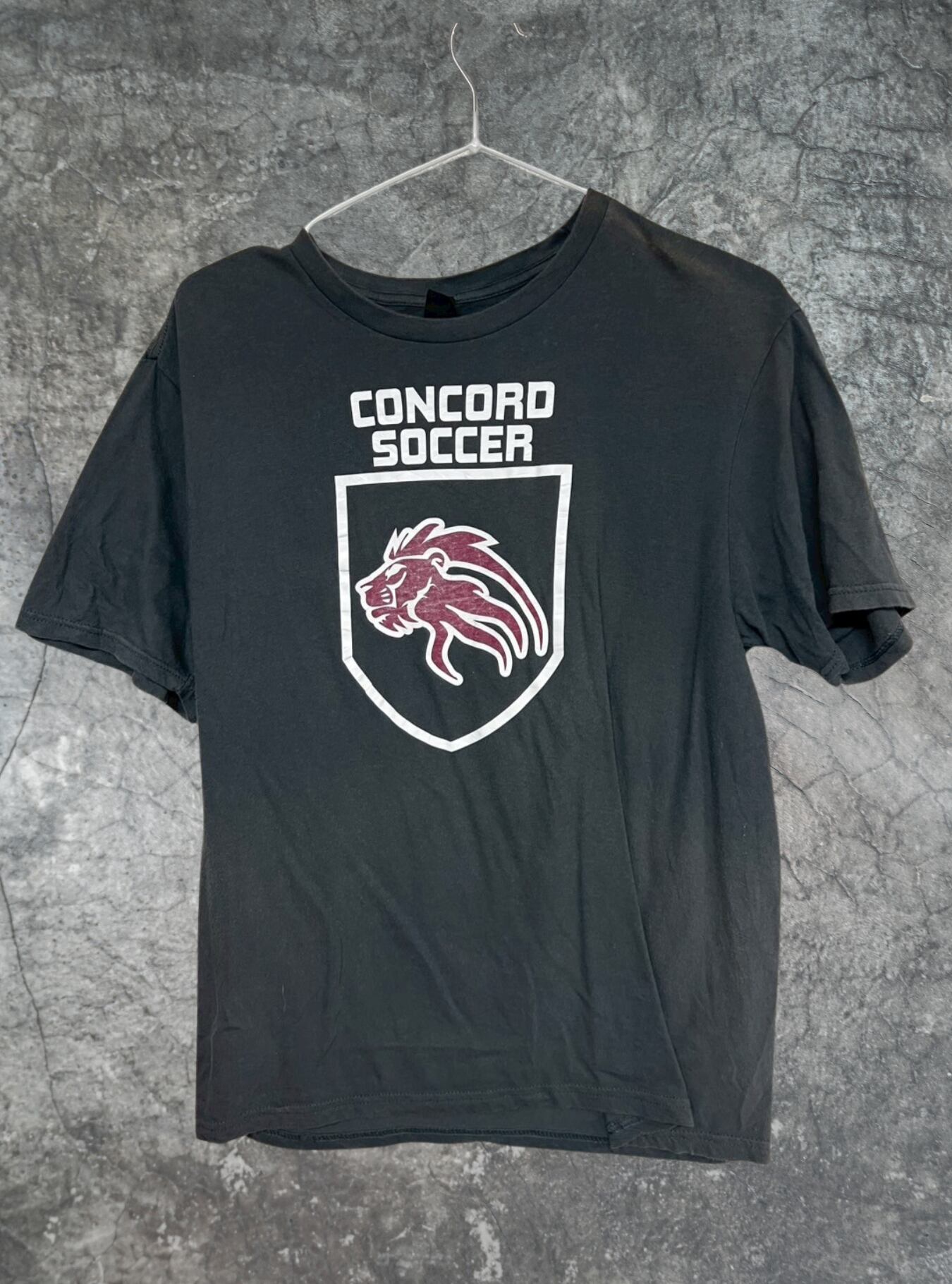 ビックプリント半袖Tシャツ size:s