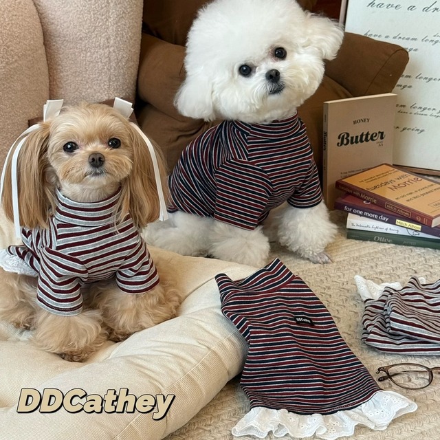 ボーダートップス＆レースワンピース　4558